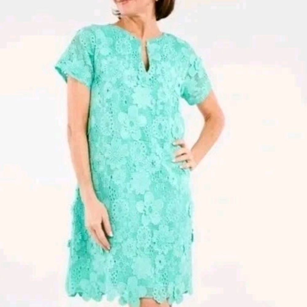 ABBEY GLASS Lulu Shift Dress Lace 3D Flowers Knee V Neck Short Sleeve Lined S